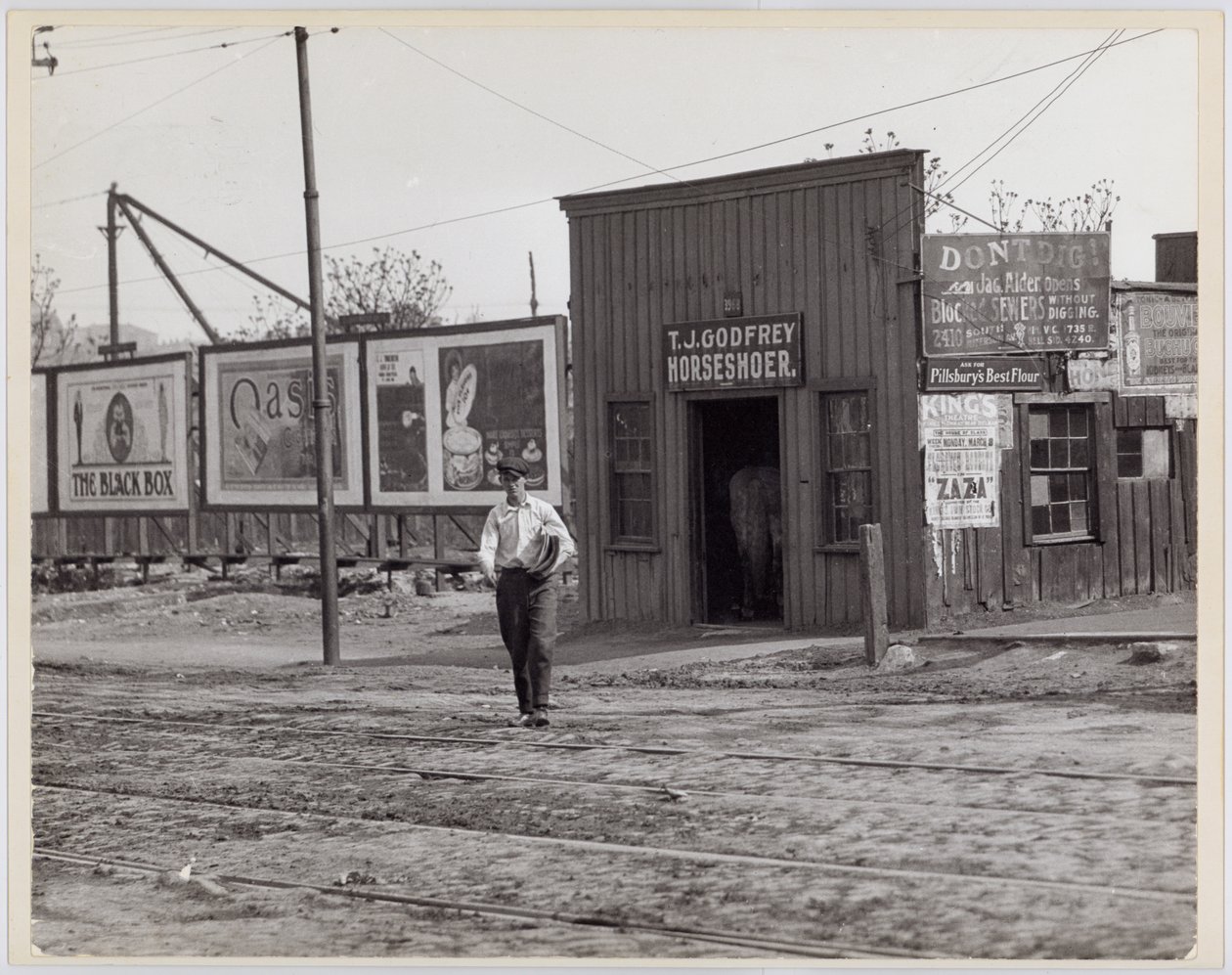 TJ Godfrey Horseshoer, 3968 Chouteau de Unknown