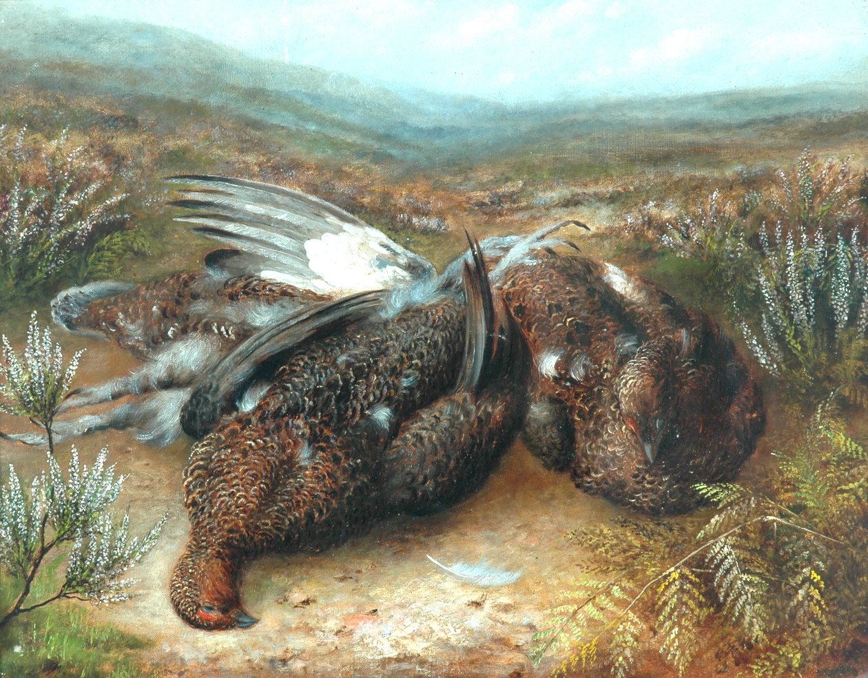 Grouse morto na paisagem de Unknown