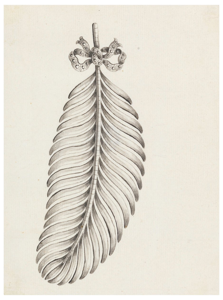 Design para um broche em forma de pena de Unknown
