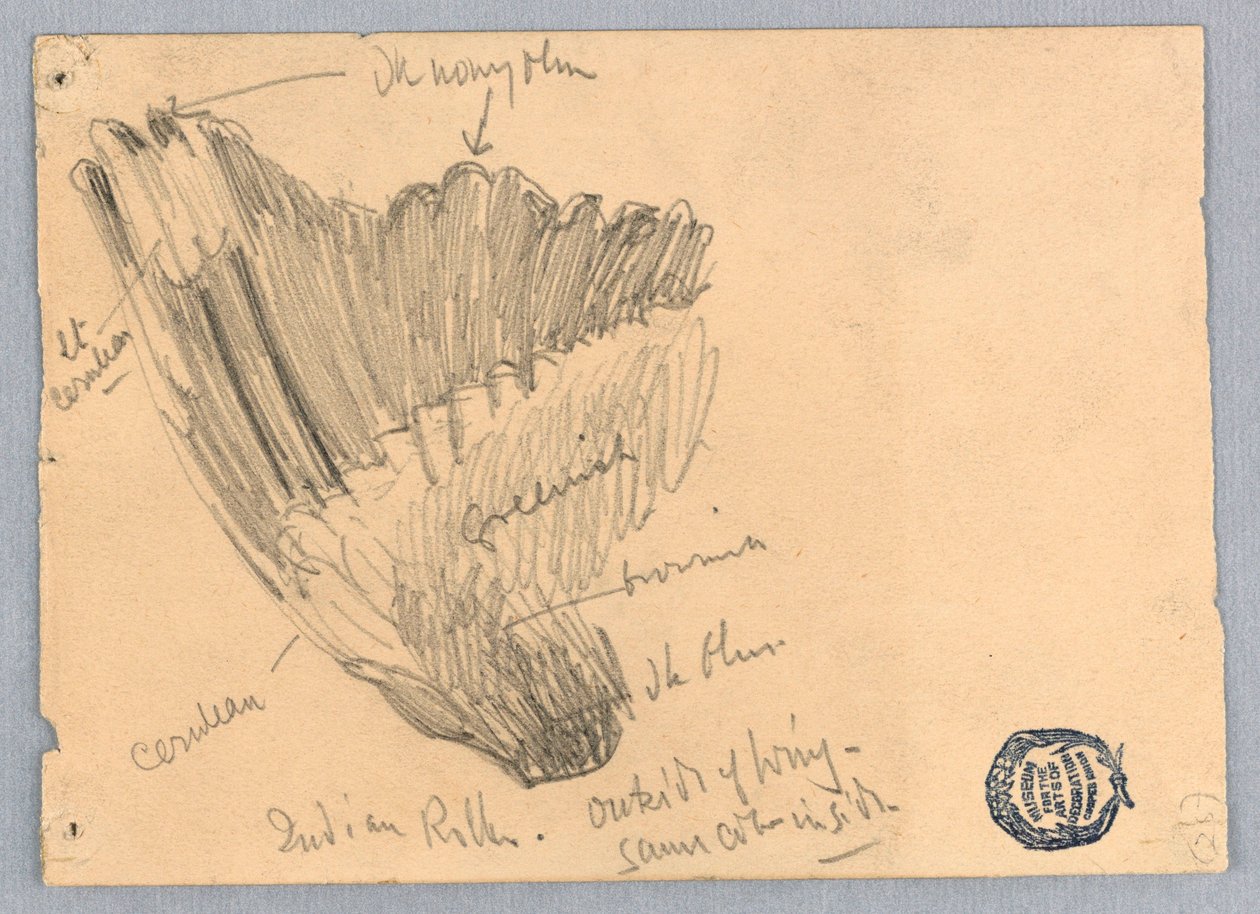 Desenhando de Unknown