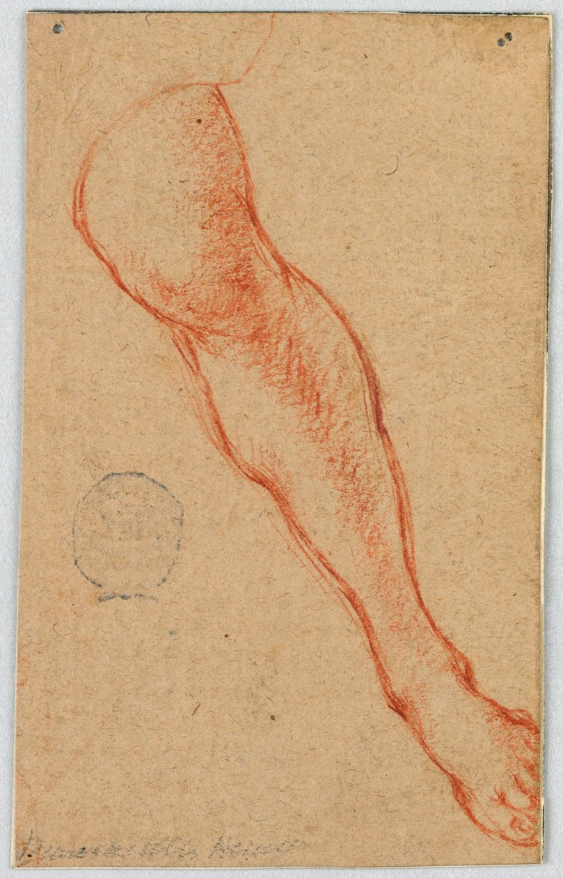 Desenho, estudo da perna esquerda de uma mulher sentada de Unknown