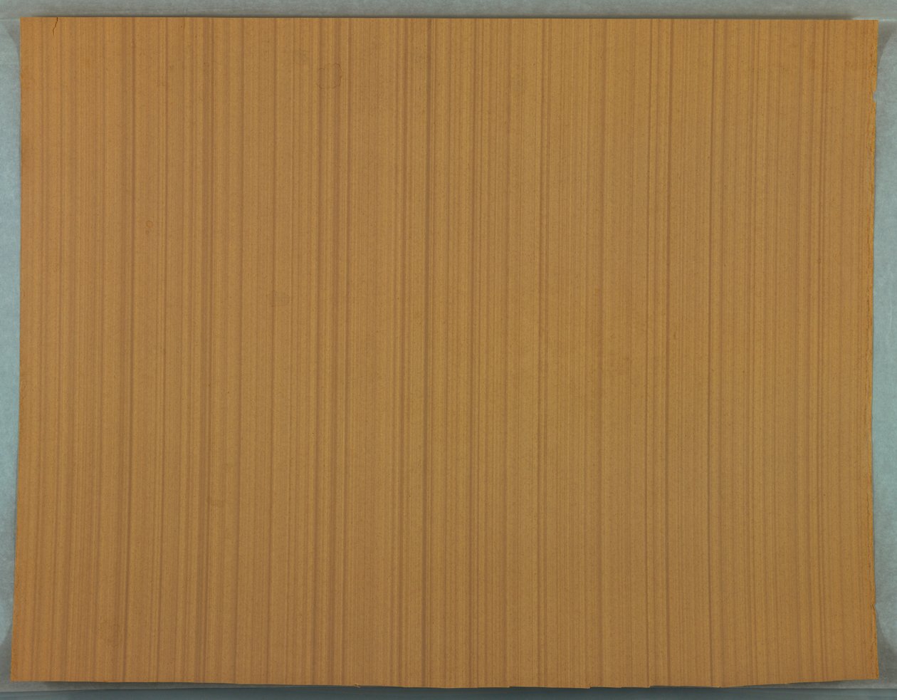Muralha (possivelmente França), 1895-1905 de Unknown