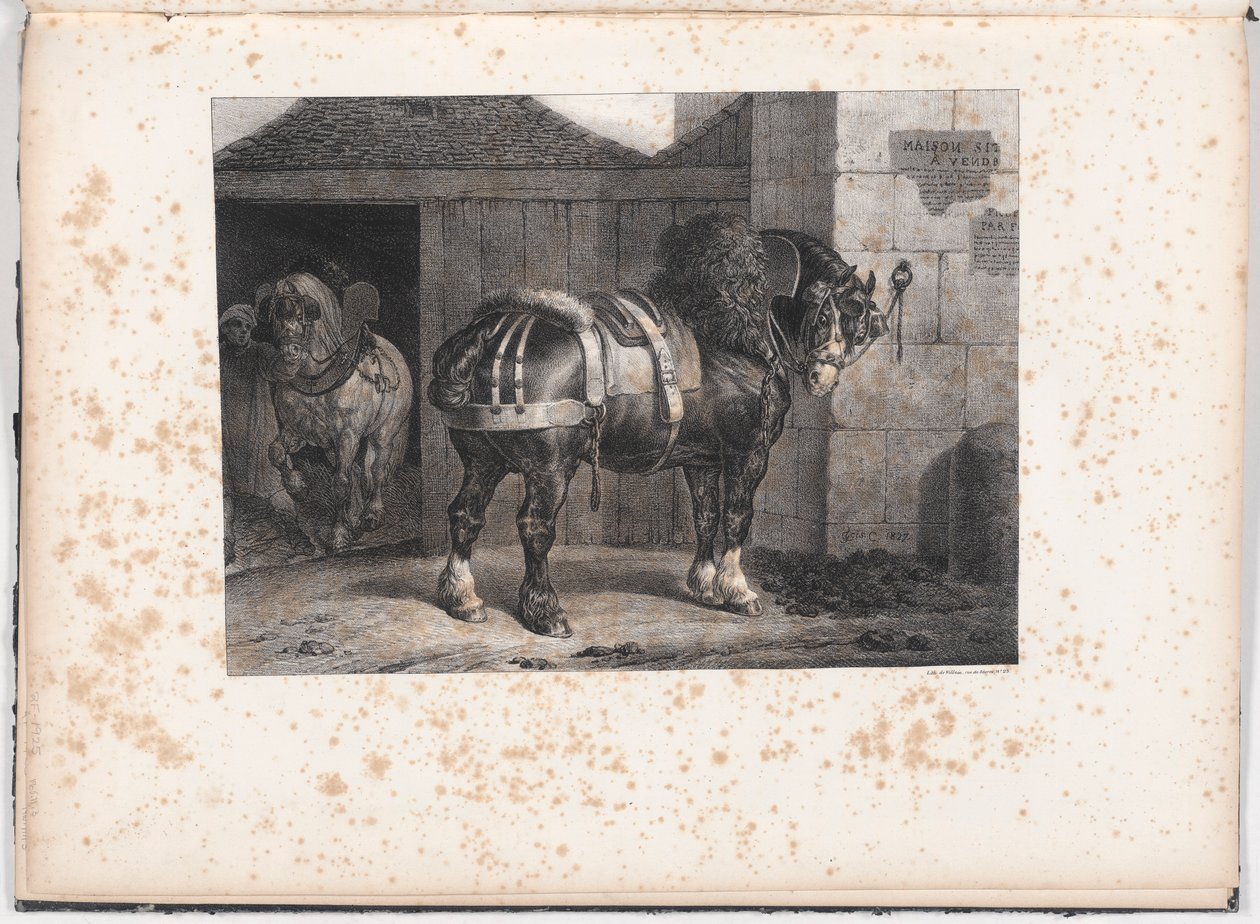 Cavalo Negro em Pé Fora de um Estábulo de Unknown