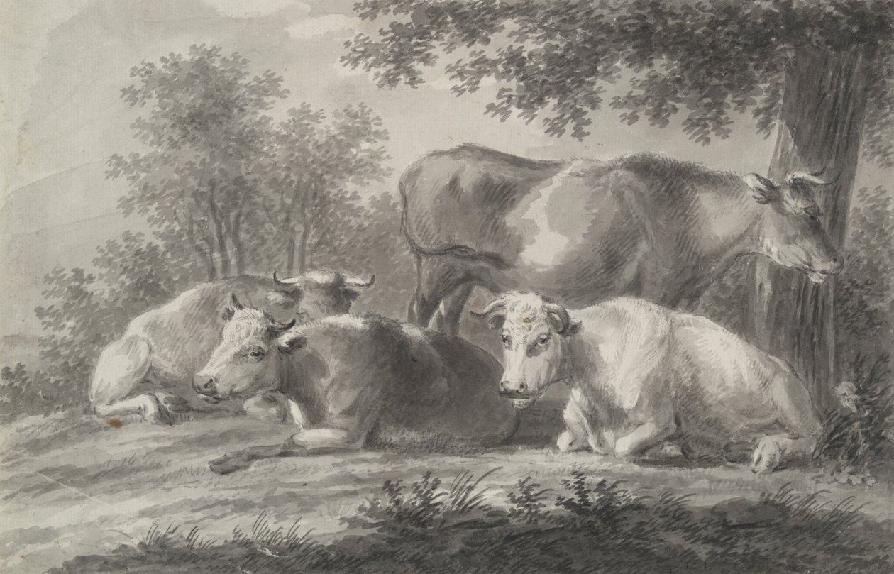 Vacas descansando de Unknown
