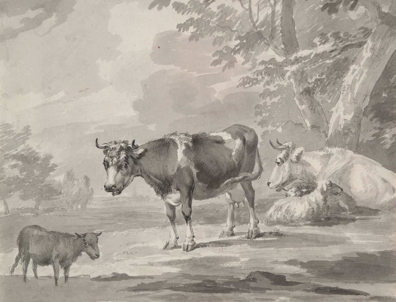 Vacas e Ovinos de Unknown