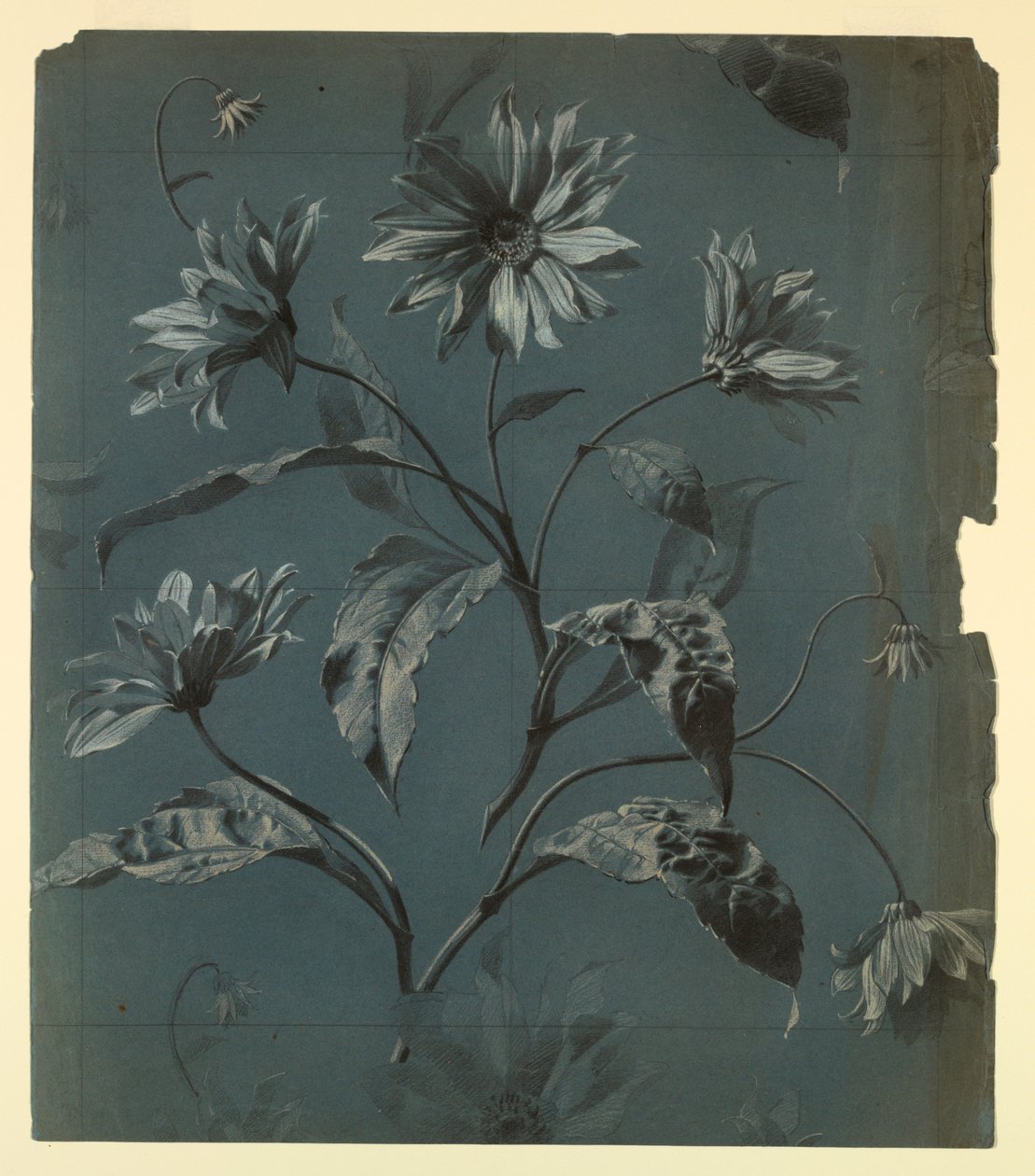 Design para papel de parede ou têxtil de flor tipo margarida com repetição de Unknown