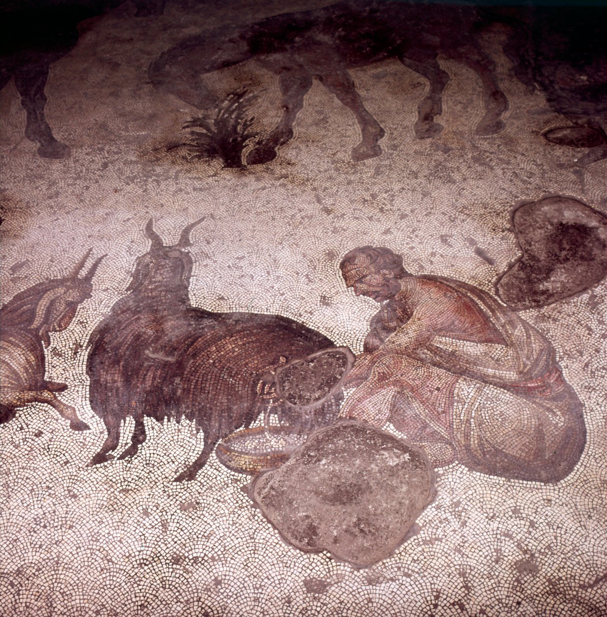 Pormenor do Mosaico de Piso no Great Palace, Istambul, Reinado de Justin, 565-575 de Unknown