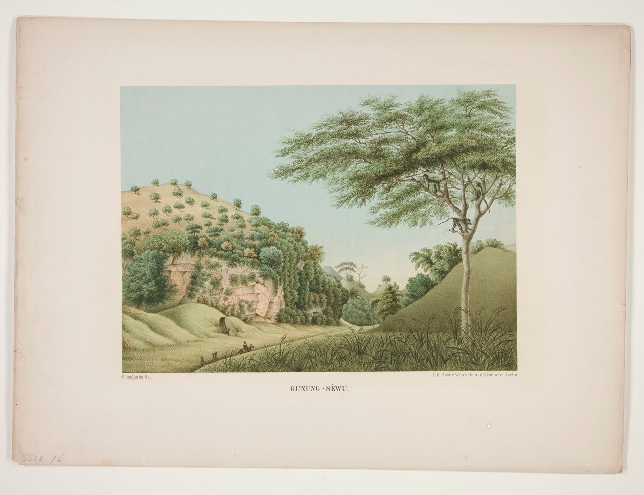 Monte - Sewu de Unknown