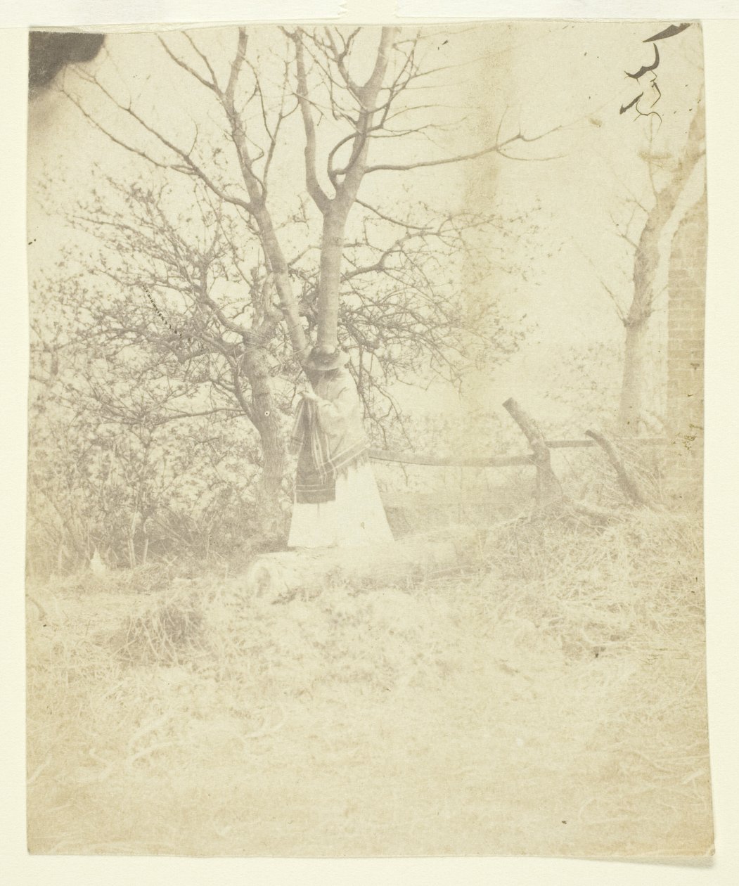 Sra. Craik de Unknown