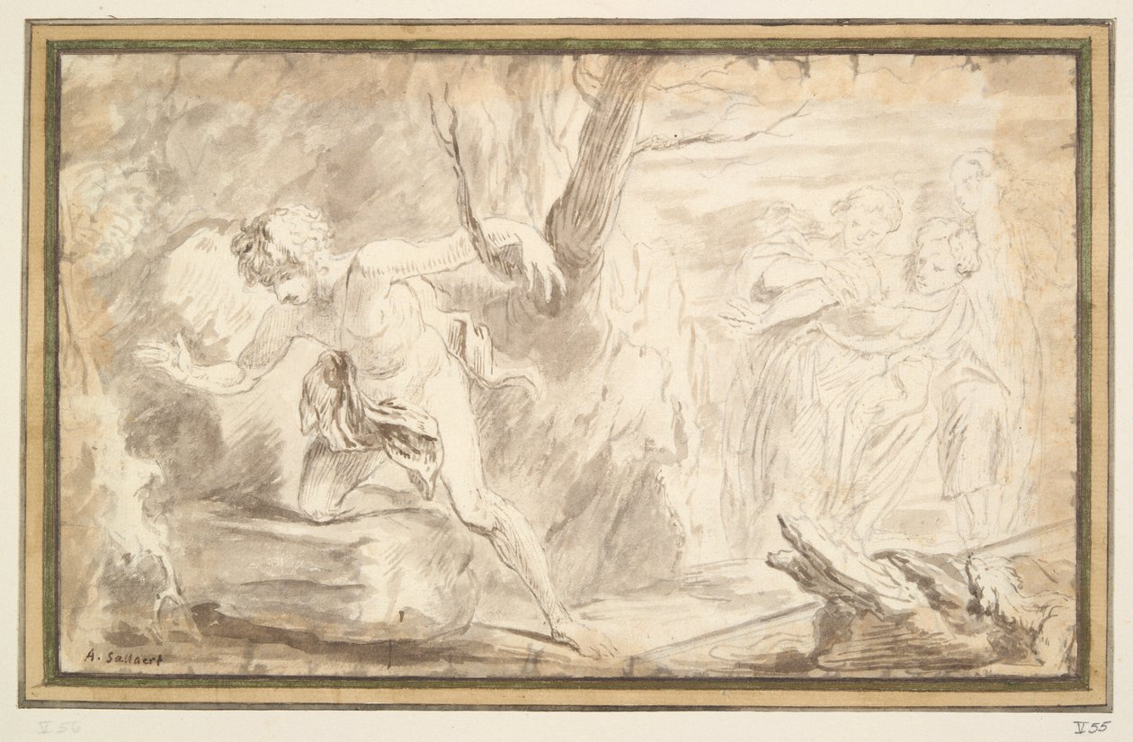 Narciso de Unknown
