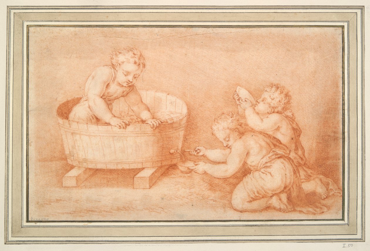 Putti Fazer Vinho de Unknown