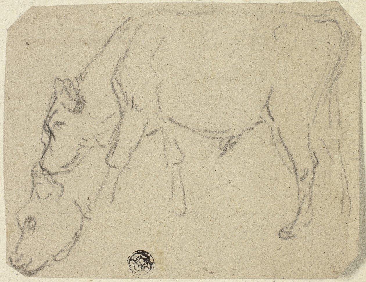 Esboços de um touro a pastar, cabeça de vaca (frente); vaca sentada de perfil (verso) de Unknown