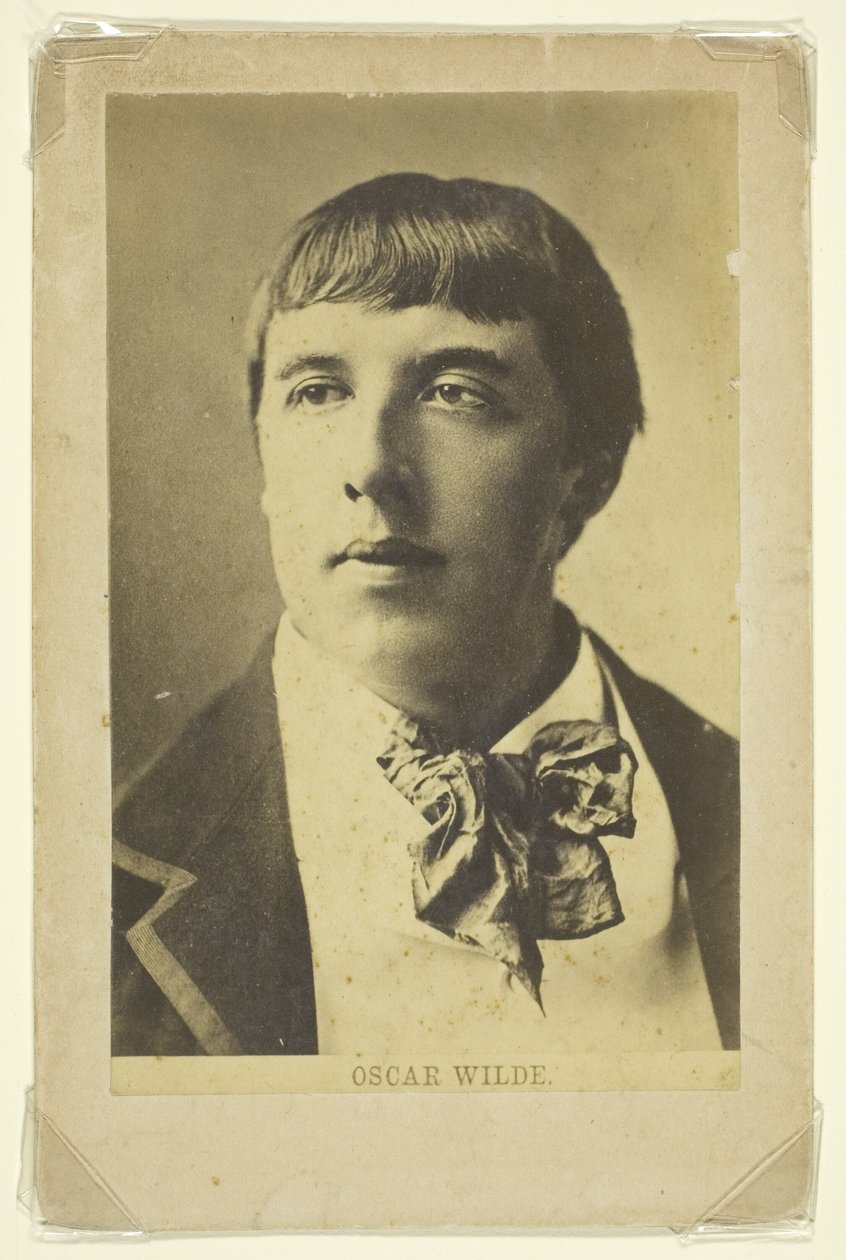 Sem título (Retrato de Oscar Wilde quando jovem) de Unknown