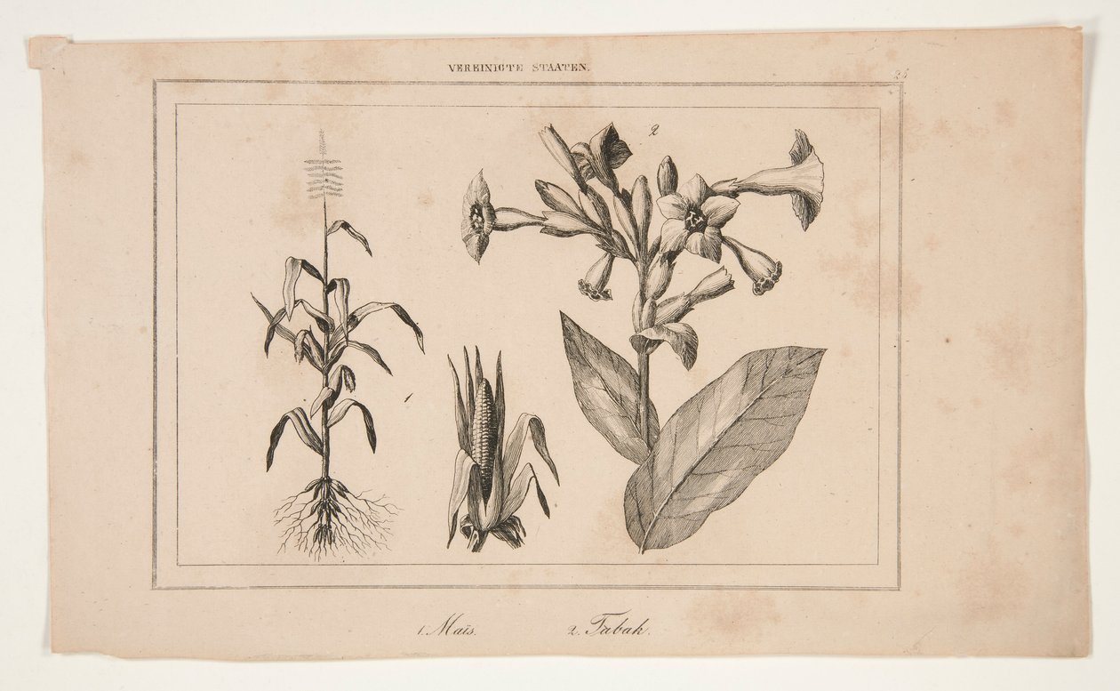 Sem título (Estudo da Agricultura Americana) de Unknown