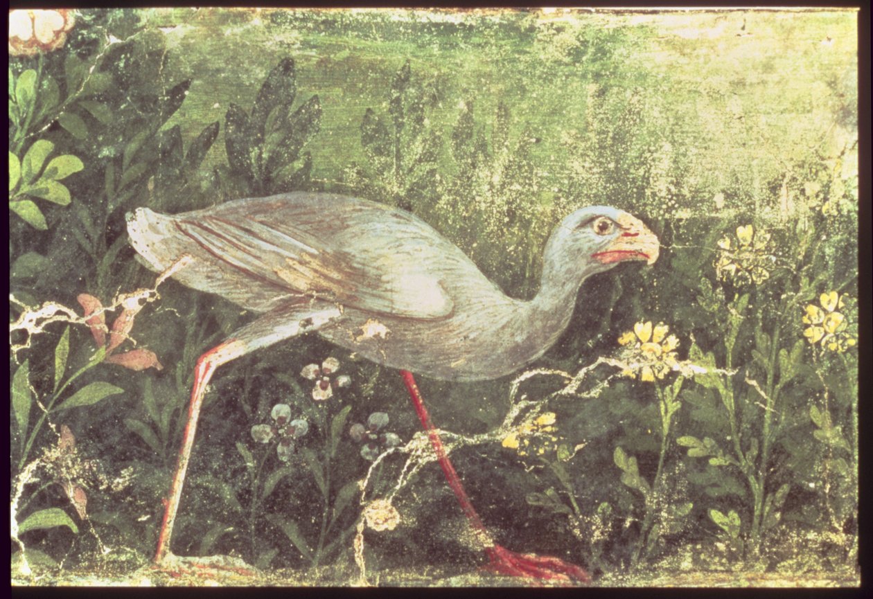 Pintura parede, de, um, sultão, galinha, em, um, jardim, pompeii, primeiro século, ad de Unknown