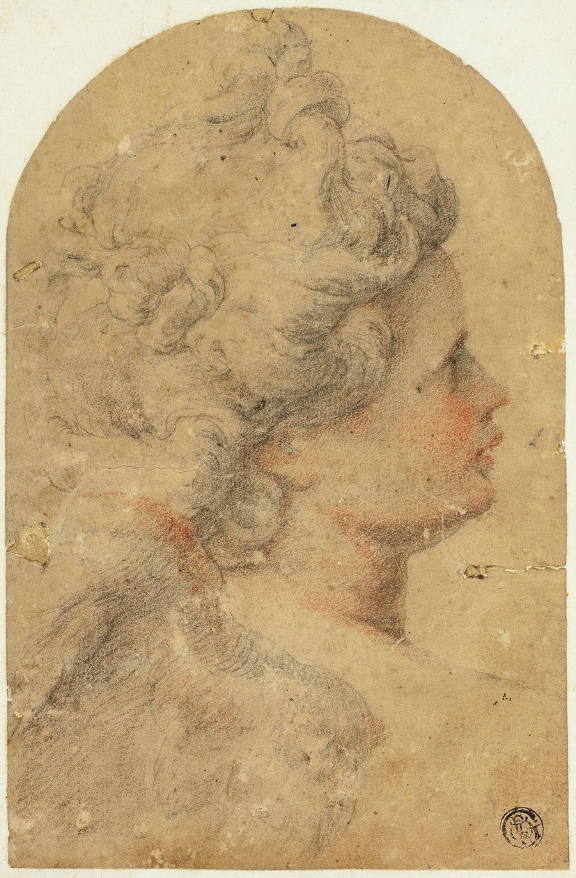 Perfil da mulher à direita de Unknown