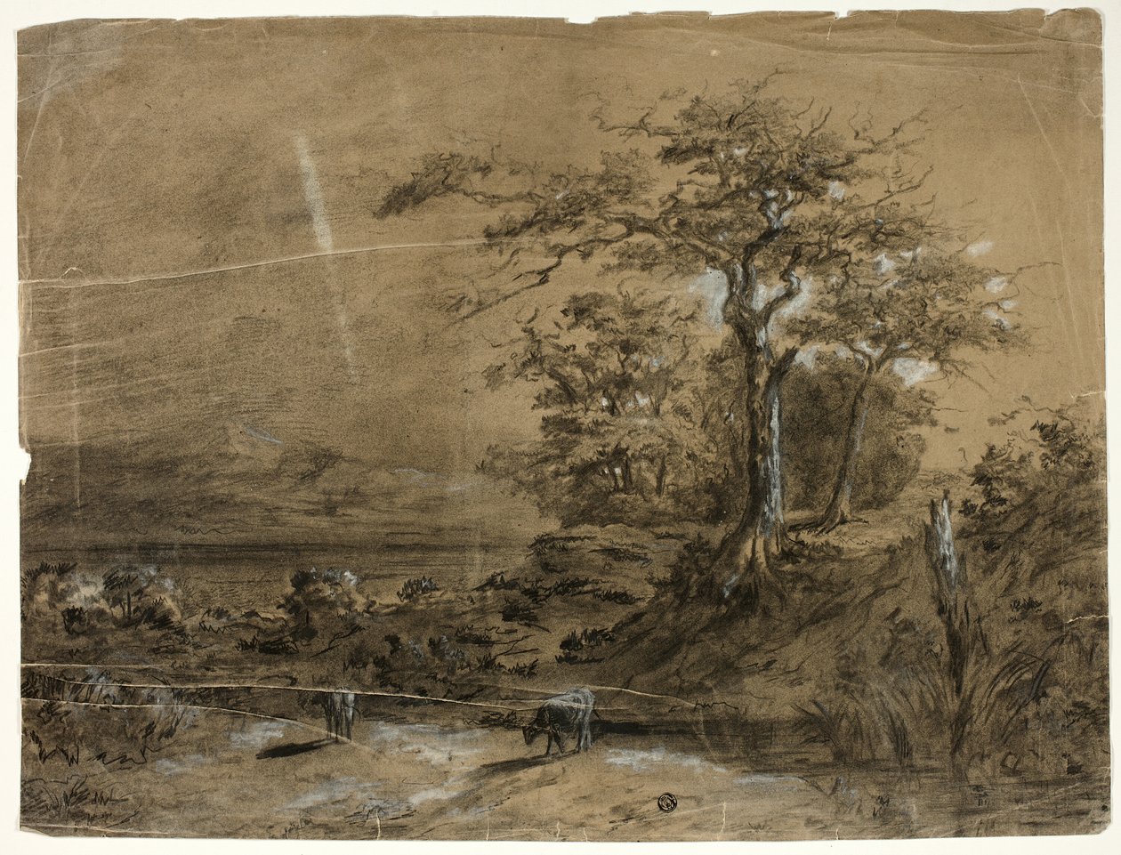 Paisagem arborizada com vacas em primeiro plano de Unknown