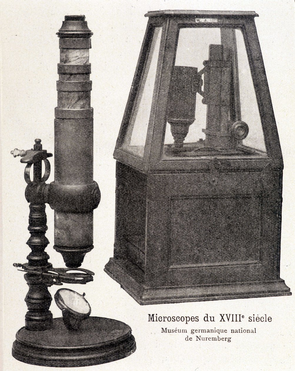 Microscópios do século XVIII: Museu Nacional Germânico de Nuremberga. de Unknown artist