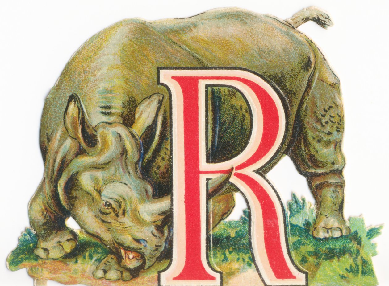 R: rinoceronte de Unknown artist