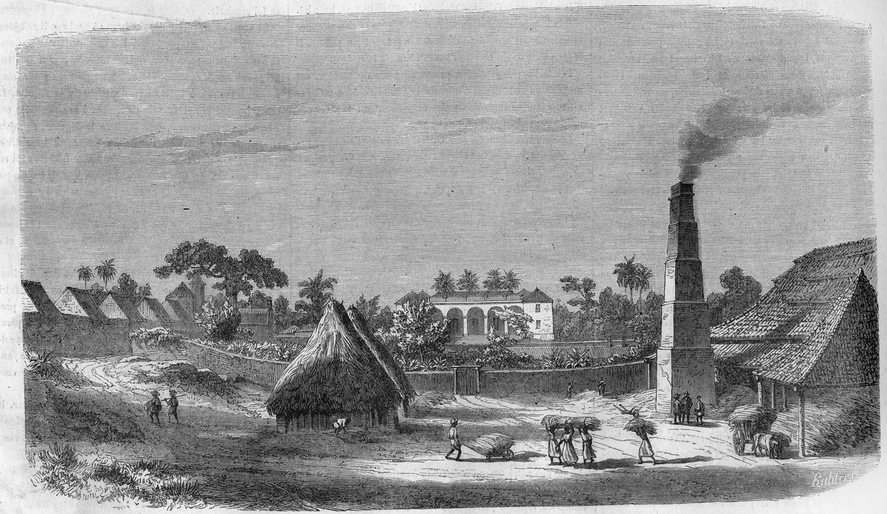 Uma fábrica de doces na ilha de Cuba, em 1869. de Unknown artist