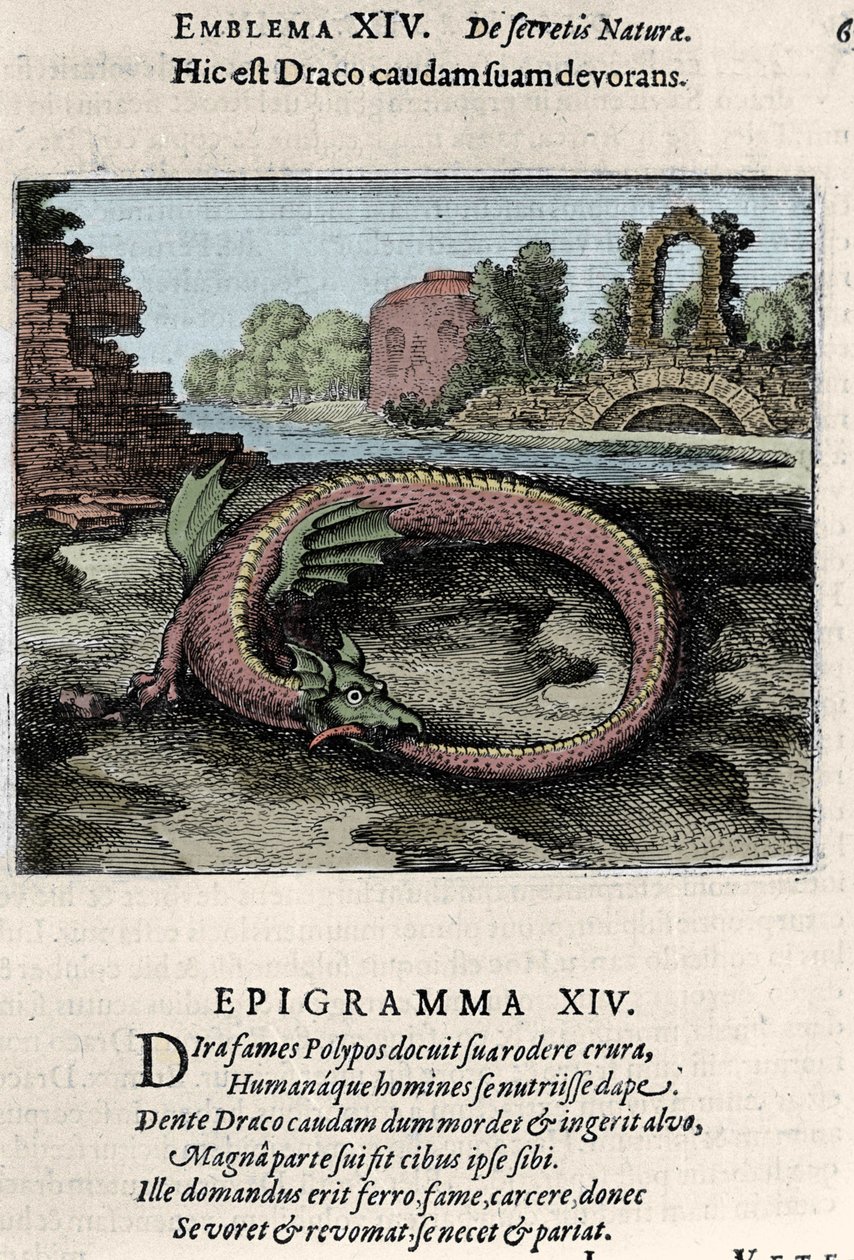 Um dragão a bater na cauda (ou Ouroburo (?)). Placa tirada da caminhada de alquimia "Atalanta fugiens hoc est Emblemata nova de secretis naturae chymica" de Michel Maier (1568-1622) de Unknown artist
