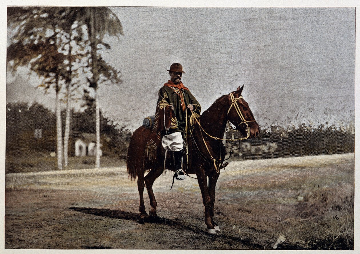 Um gaúcho no Rio Grande do Sul (Brasil), final do século XIX de Unknown artist