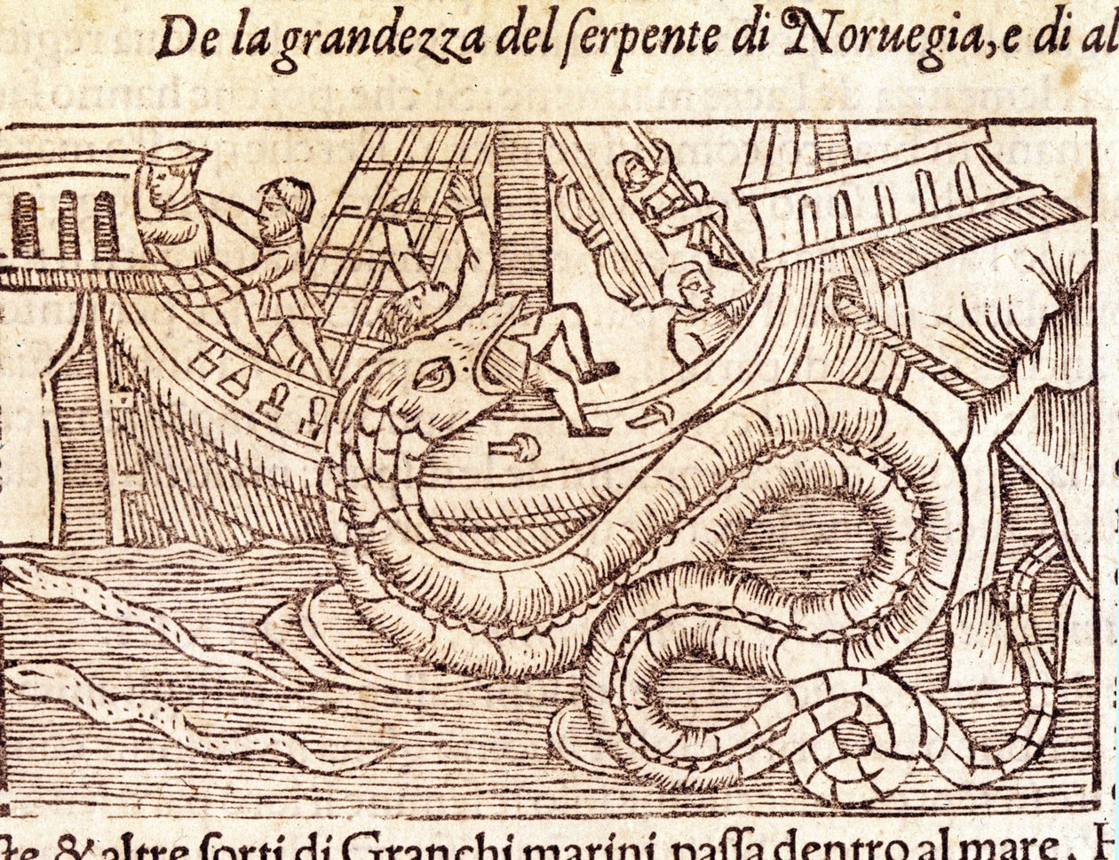 Uma cobra marinha gigante ataca um navio e bate a sua tripulação. Gravura de Olaus Magnus (1490 - 1557), religioso e geógrafo sueco, "Historia de Gentis Septentrionalibus", Veneza de Unknown artist