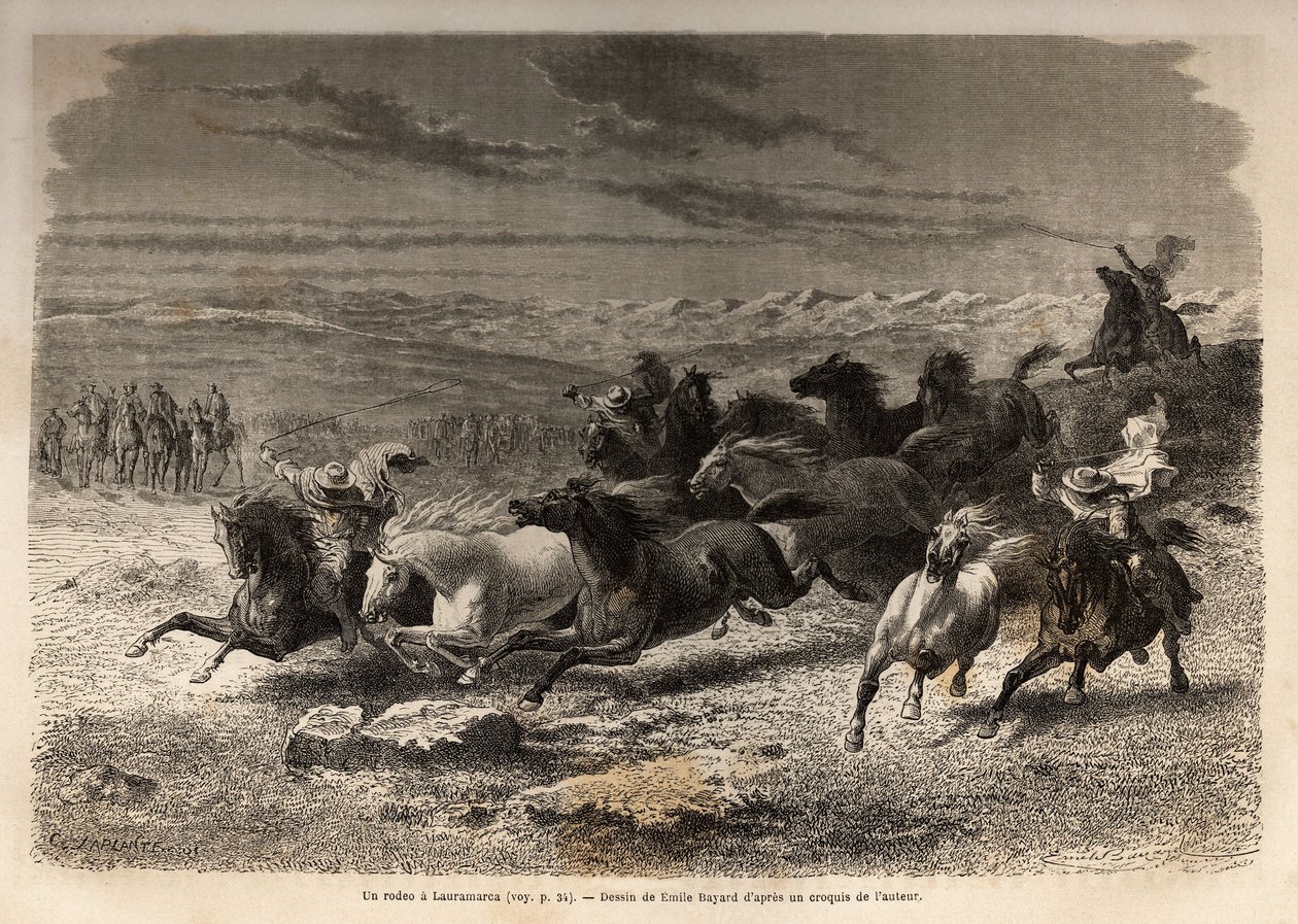 Um rodeio em Lauramarca (Baixo Peru), a captura de cavalos selvagens, antes de sua marcação de ferro com as iniciais do dono da região, considerada como um espetáculo completo, muitos badauds se reuniram. Gravura para ilustrar a viagem nos vales de Quinqui de Unknown artist