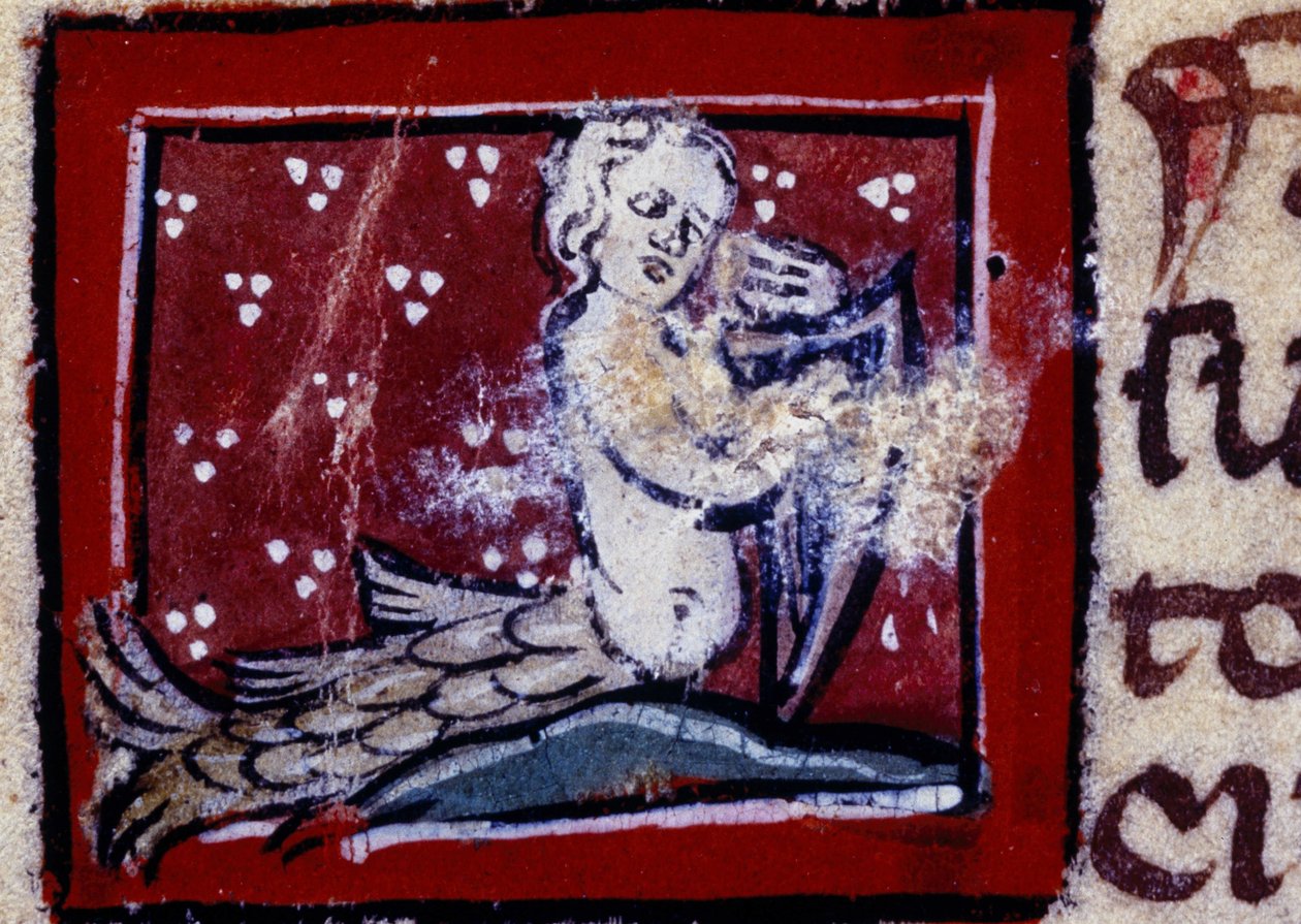 Uma sirene - bestiário do século XIV. Milão, Biblioteca Trivulziana. de Unknown artist