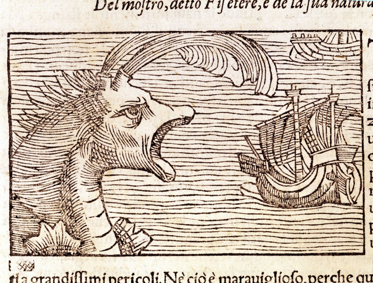 Um cachalote (?) (físico) ataca uma nave. Gravura de Olaus Magnus (1490 - 1557), religioso e geógrafo sueco, "Historia de Gentis Septentrionalibus", Veneza de Unknown artist