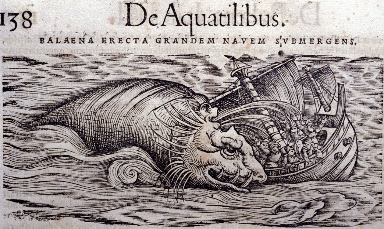 Uma baleia destrói o casco de um barco e provoca o seu afundamento. Engraving n Historia Animalium de Conrad Gesner (1516 - 1565), Tiguri de Unknown artist