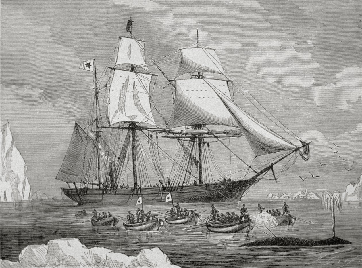Um baleeiro com barco rápido para um 