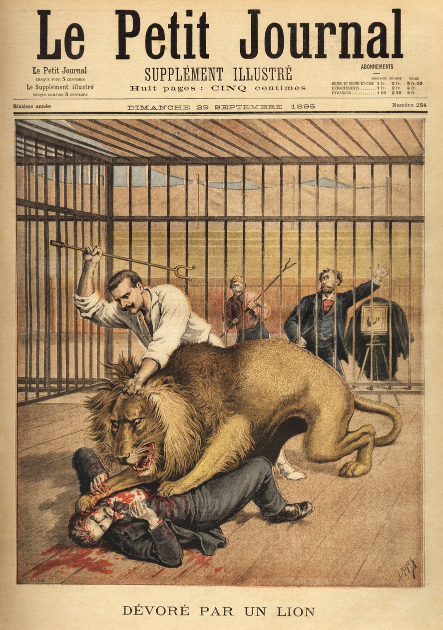 Um jovem, querendo ser fotografado na gaiola de um leão, é devorado, apesar dos esforços do domador para segurar o leão. Gravura no "Le petit journal" 29/09/1895. A coleção de Selva. de Unknown artist