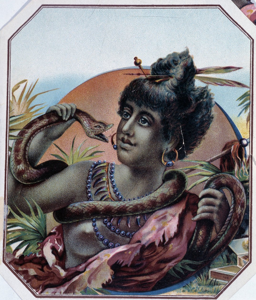 Mulher negra africana e cobra - Etiqueta de caixa de charutos, final do século XIX de Unknown artist