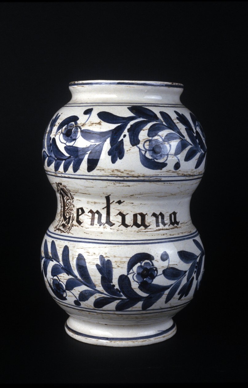 Albarelle: antigo vaso de farmácia do século XVI contendo genciana. Museu de Ciência e Tecnologia, Milão. de Unknown artist