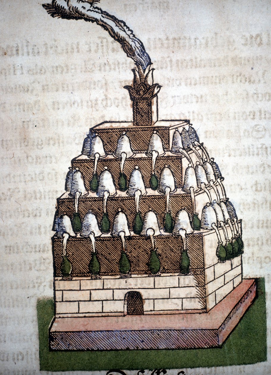 Alquimia: o Quarto Athanor de um livro de Pietro Andrea Mattioli (Matthiole) (1500-1577). Frankfurt de Unknown artist