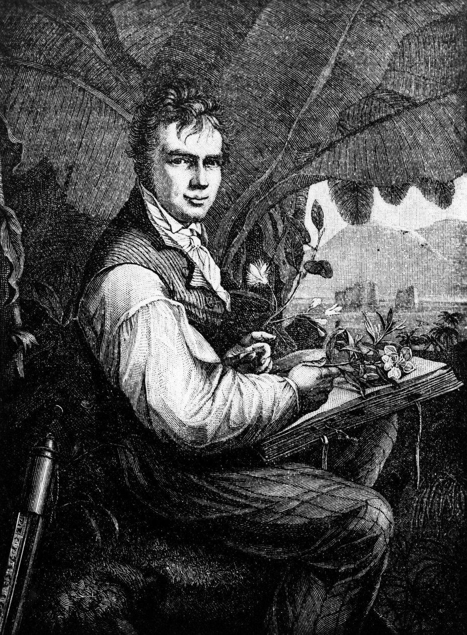 Alexander Von Humboldt (Alexander de Humboldt de Unknown artist