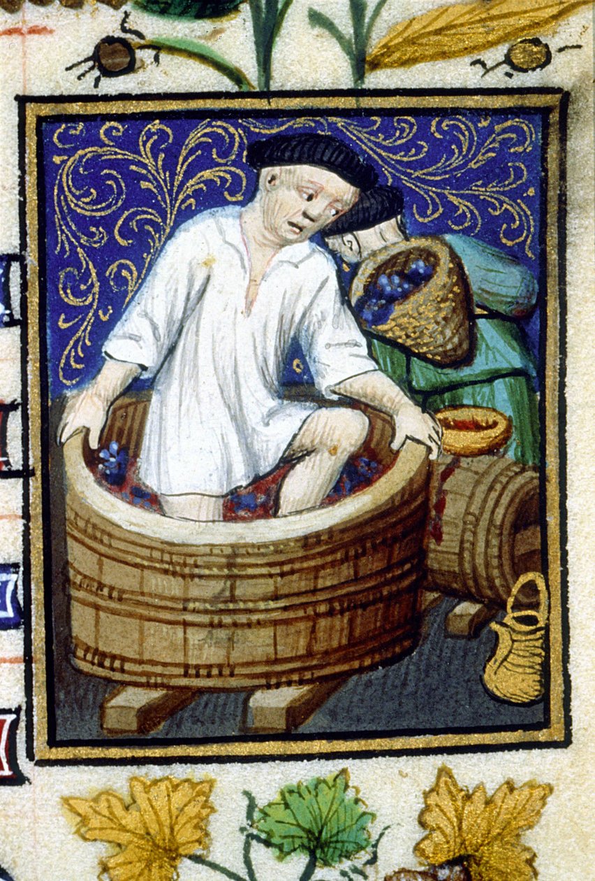 Representação alegórica de Setembro. Colheita, descortiçamento das uvas. Miniatura de um manuscrito do século XIV. de Unknown artist