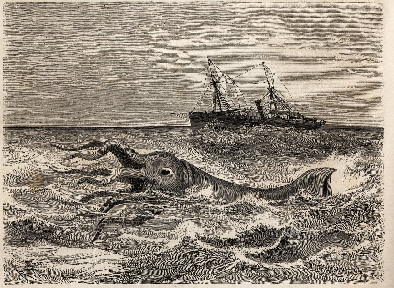 Um polvo gigante de 18 pés (ou lula), visto no oceano a quarenta léguas de Tenerife (Espanha), pela tripulação do Alecton, um barco a vapor sob o comando do narrador. Gravura para ilustrar a viagem na Guiana Francesa em 1862-1863, de Frederic Bouyer, boné de Unknown artist