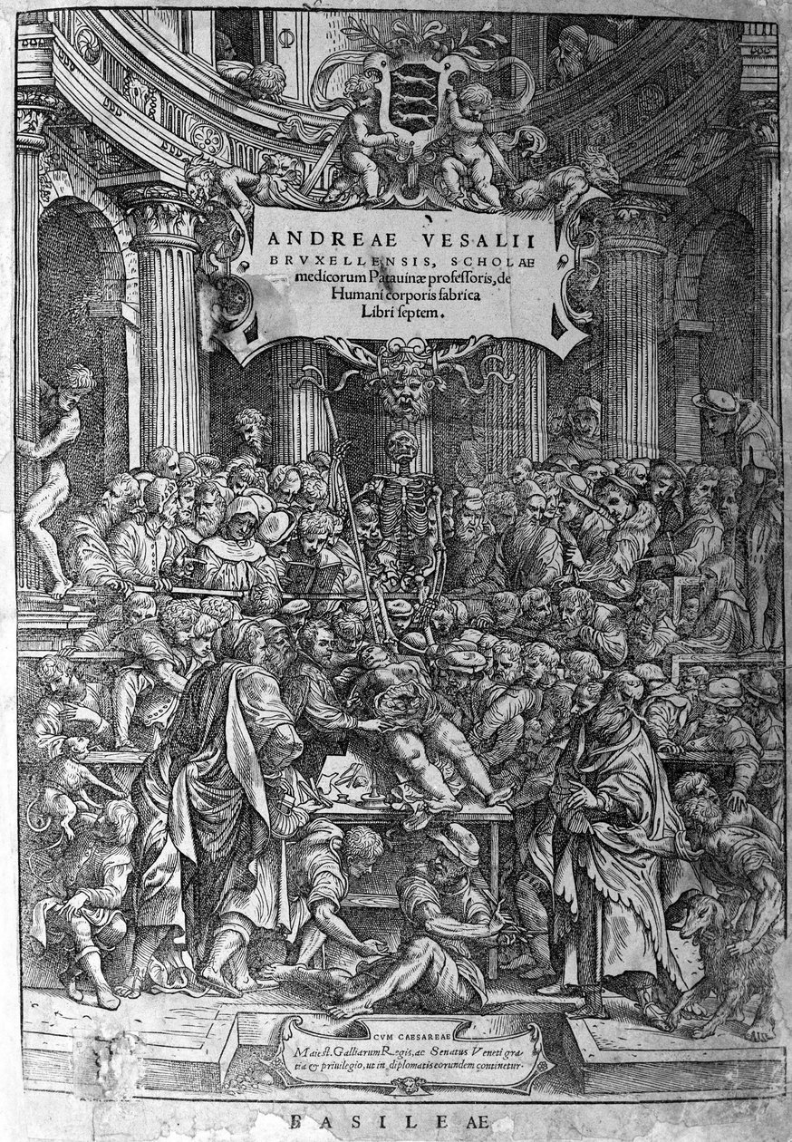 Sala anatómica. Frontispício da obra "Humani corporis fabrica libri septem 1543" de André Vésale (1514-1564), anatomista holandês (Em latim: Andrea Vesalius, em holandês: Andries Van Wesel). de Unknown artist