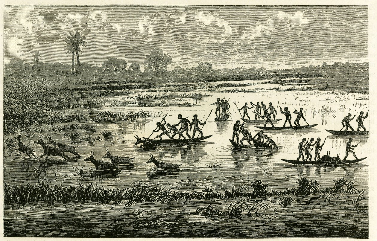 A caça aos antílopes, a caça anual durante a migração, os antílopes abrandados na água do rio são abatidos pelos guerreiros Marutse, que os perseguem em equilíbrio em canoas. Gravura para ilustrar a história "Au pays des Marutses", em 1875-1879, pelo Dr. E de Unknown artist