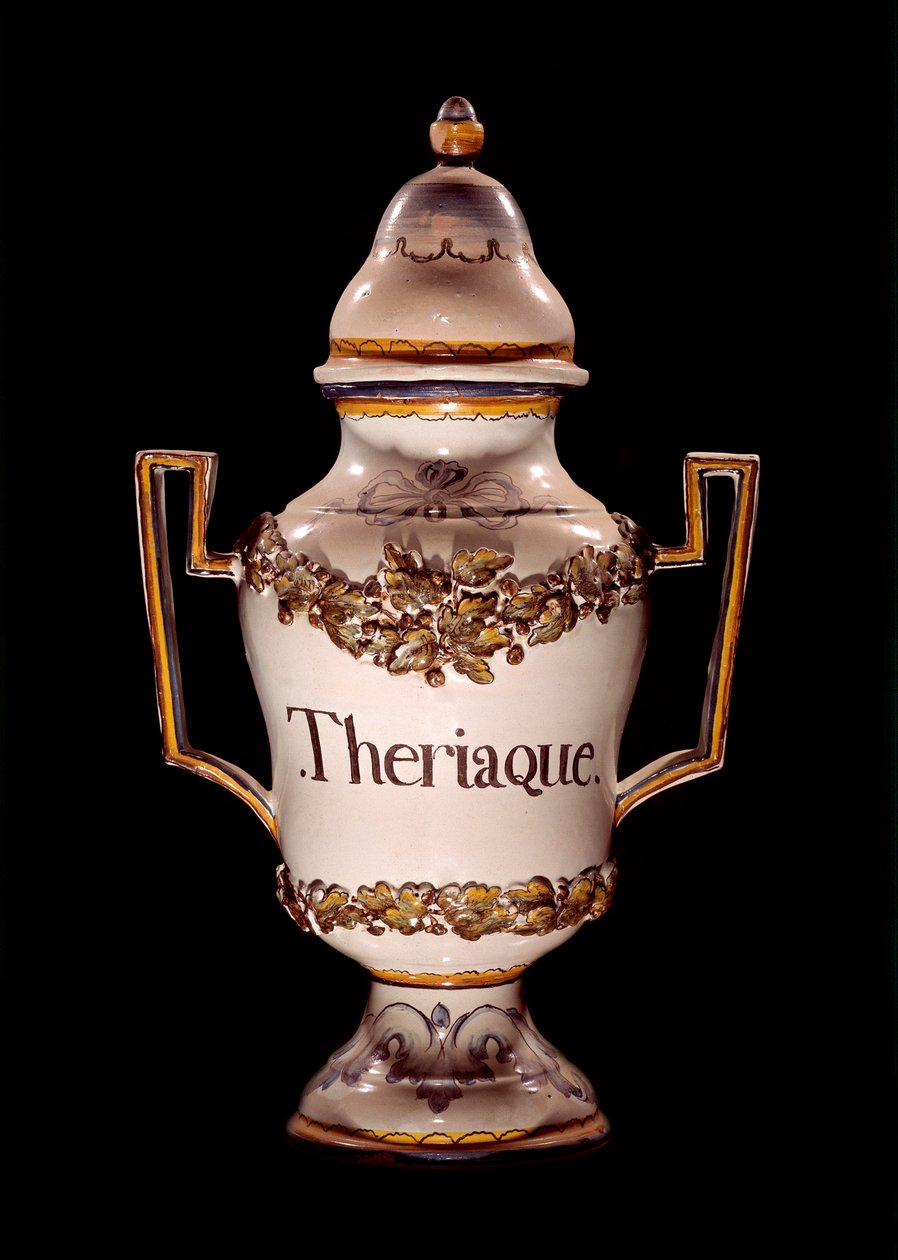 Pote boticário contendo teriaco, um remédio antigo que deve o seu nome para combater os efeitos das picadas de beterraba selvagem. Século XVII Macon, Hotel Dieu de Unknown artist