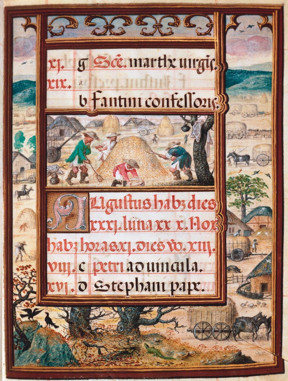Agosto. Camponeses no trabalho. Página do manuscrito "Livro de Horas" de Manuel I de Portugal (1469-1521) 1517. Lisboa, Museo di Arte Antica de Unknown artist