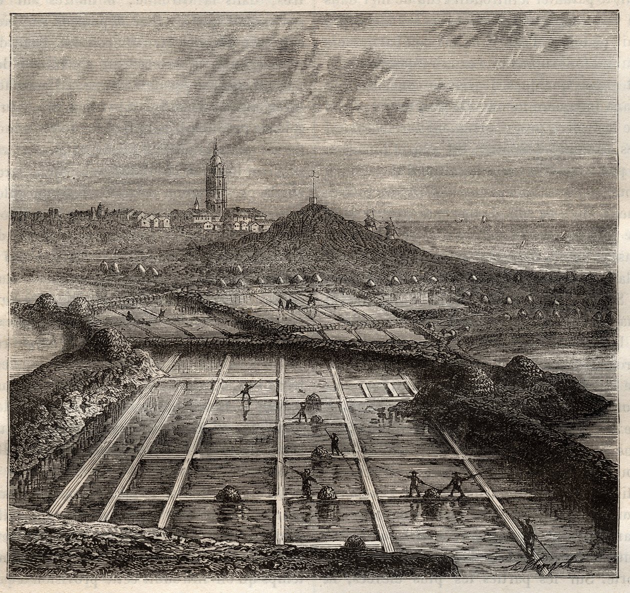 Batz sur Mer, Bretanha, França - Fabricação de sal. Vista de um pântano salgado na França ocidental - gravura em 