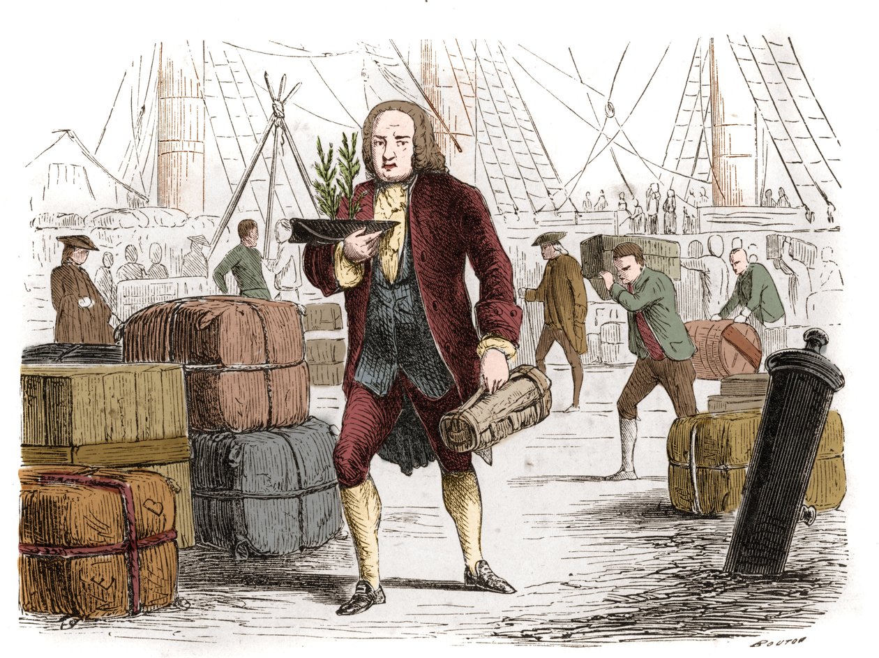 Bernard de Jussieu (1699-1777), botânico francês que trouxe dois cedros do Líbano da Inglaterra em 1734. Gravura a partir de 1861. de Unknown artist