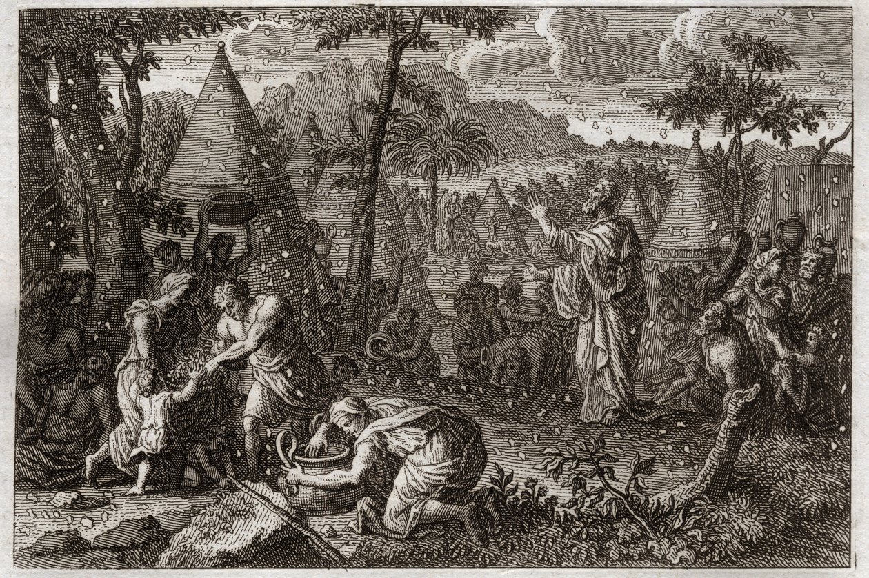 Bíblia de Royaumont, Velho Testamento: Os judeus no deserto (ou a lembrança do maná). Deus faz o maná cair do céu por quarenta anos. Ilustração de 1811. de Unknown artist
