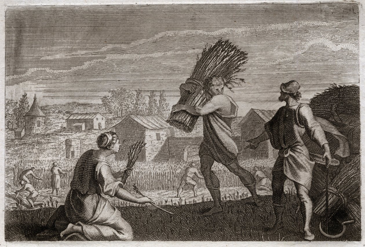 Bíblia de Royaumont, Velho Testamento: Rute segue sua sogra Noemi (Noemi, Noemie) na terra de Judá e recolhe os campos de trigo de Boaz (Boaz). Ilustração de 1811. de Unknown artist