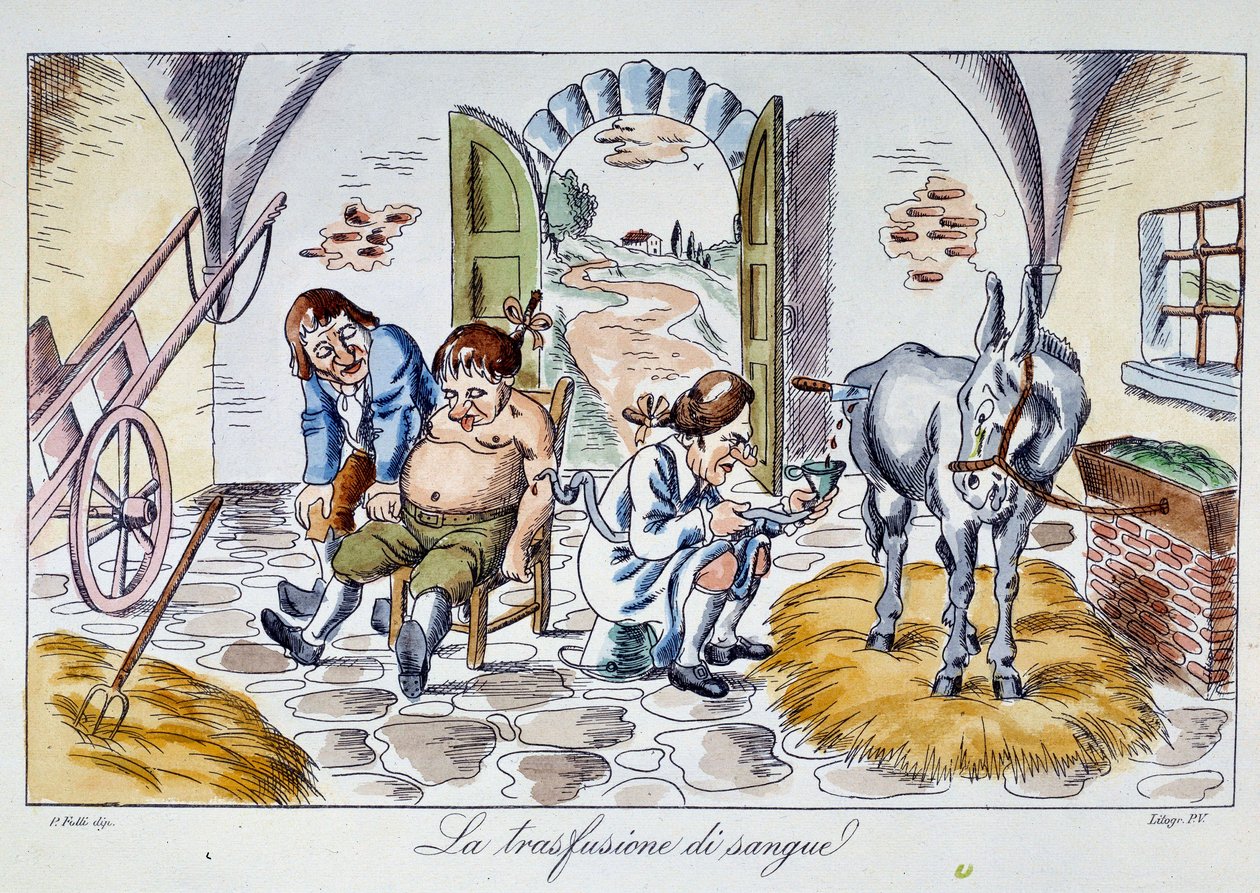 Transfusão de sangue Um médico injecta sangue de cavalo num paciente. Desenho animado da Coleção Privada do século XIX de Unknown artist