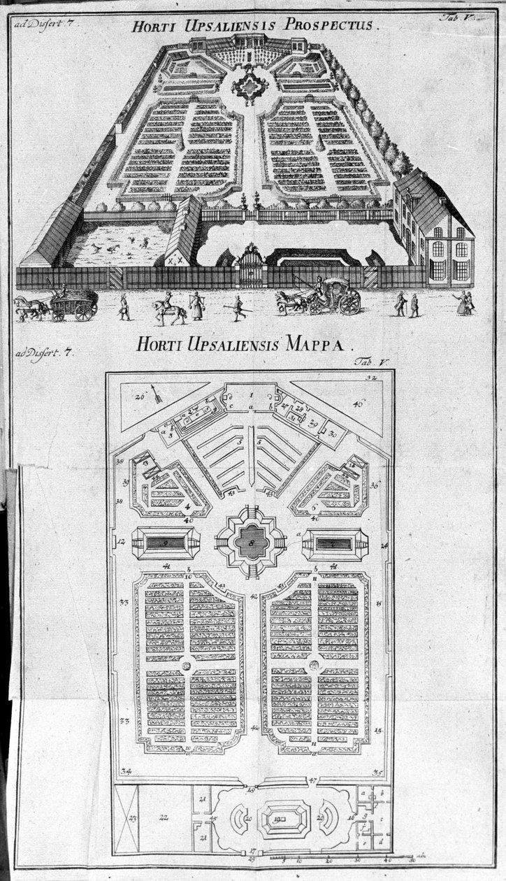 Jardim Botânico - HORTI UPSALIENSIS perspectiva e plano. de Unknown artist