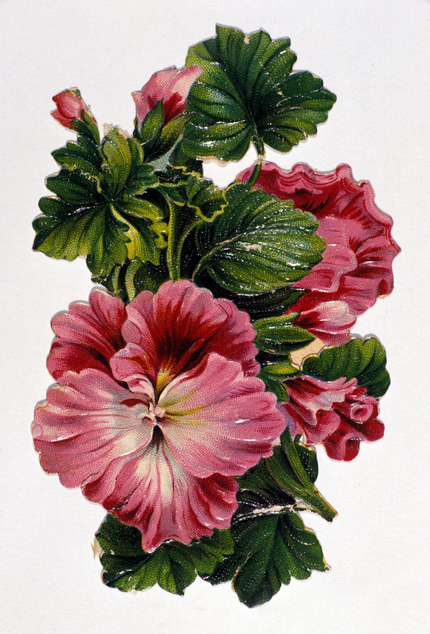 Um ramo de flores. Cromolitografia do século XIX. de Unknown artist